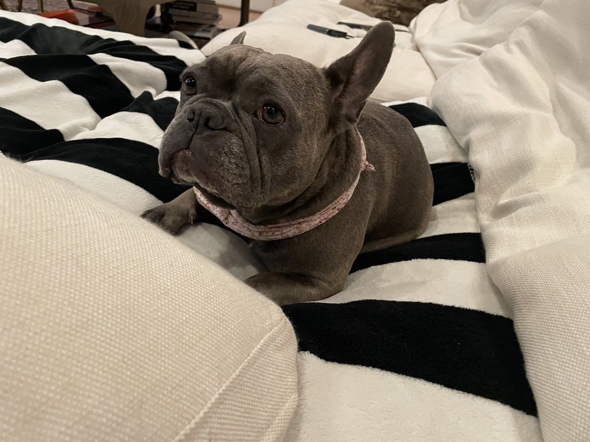 Miles Teller tweet media