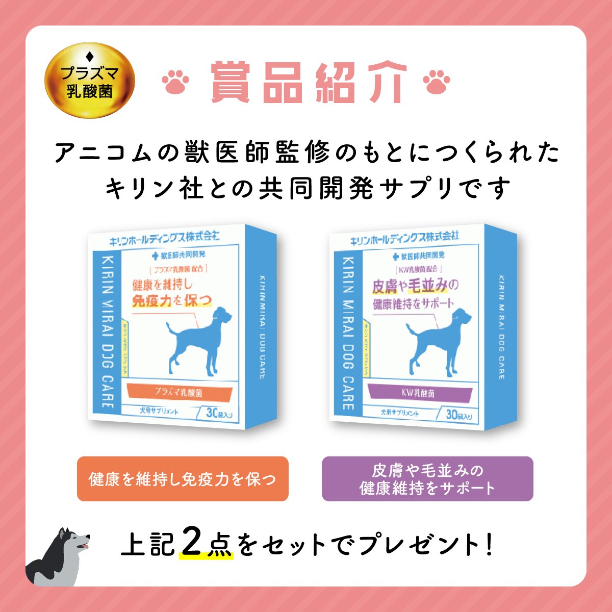 公式】アニコム | ペット保険(だけじゃない) on Twitter: