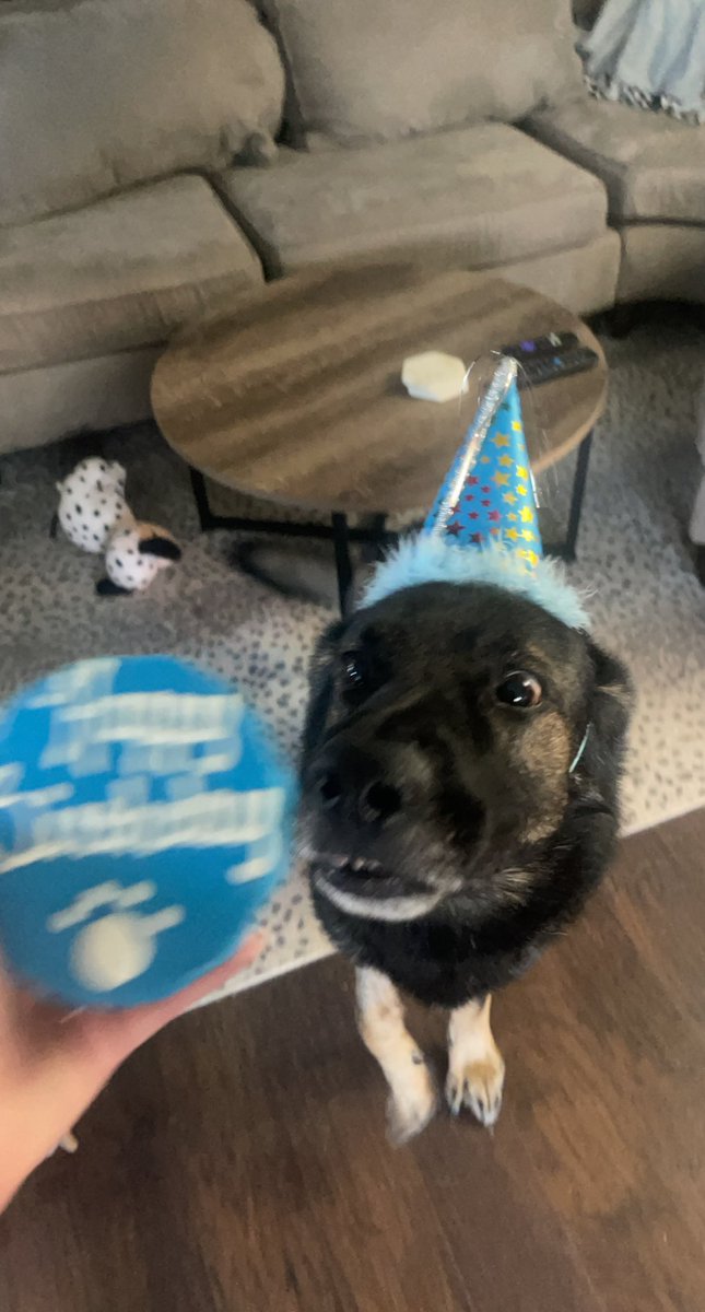 briannagoodall's tweet photo. That birthday feeling 🦴🎂 https://t.co/P32EZYwVDi