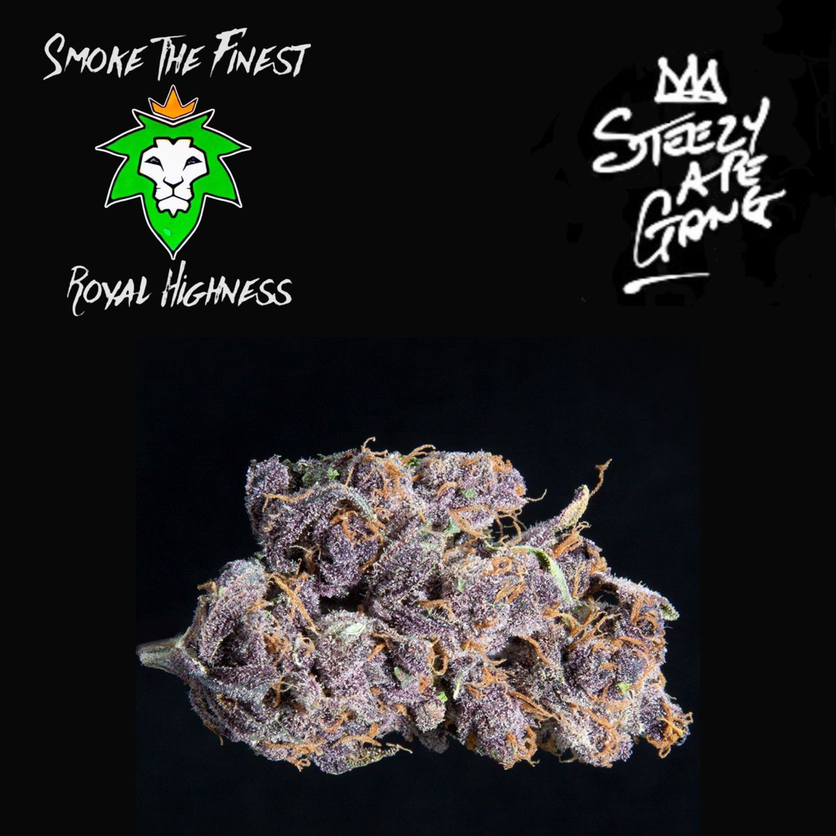 thenewroyalhig1's tweet photo. Wait till u start seeing a bunch of different @steezyapegang with some cool little logos πππ if u know u know. @BryanveeEth @Alejoholguin_ca @INSpectahDECKWU @REALCAPPADONNA @TheJimmyKang #Wumanagement #str8up https://t.co/GBdxlsOR1C