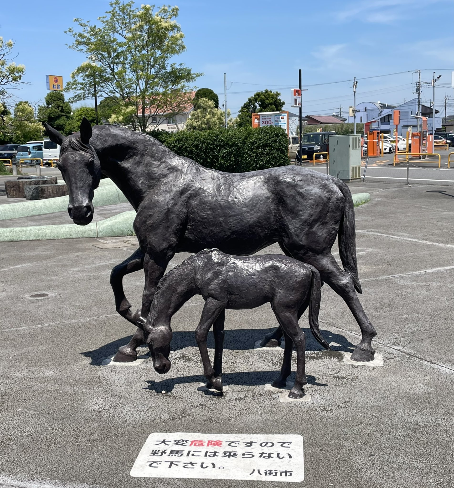 八街市 Twitter Search Twitter