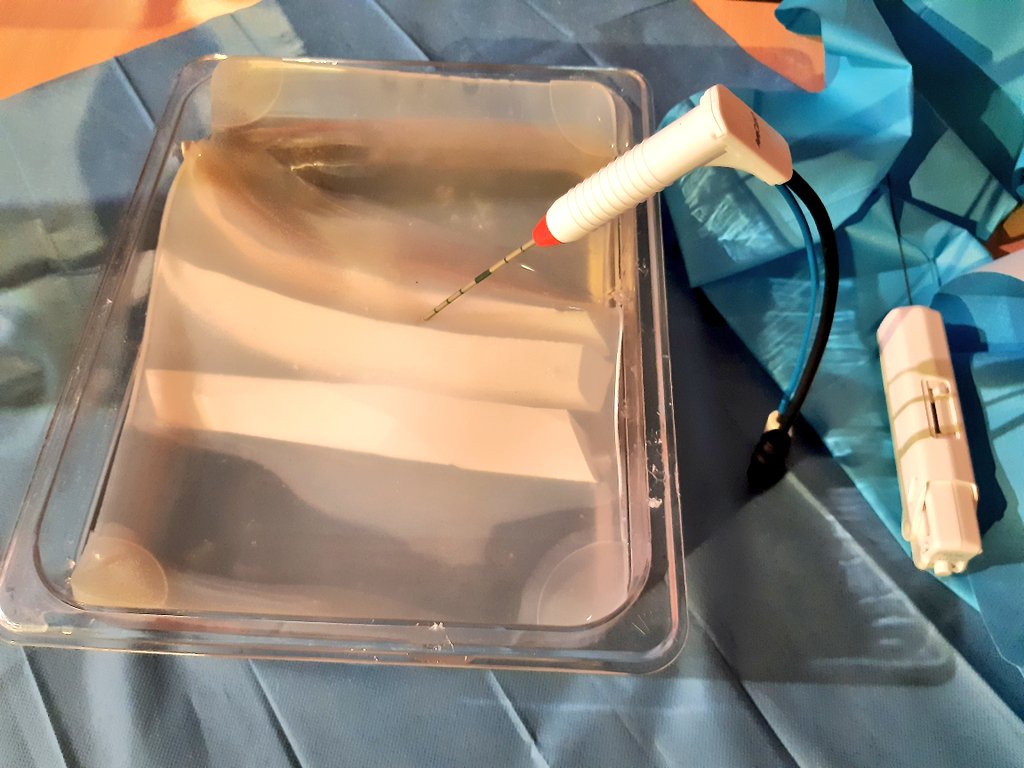 LehrstuhlEMV's tweet photo. Derweil konnte den Besucher*innen der #MINTTage am Stand des @STIMULATE_FC mit einer Ablations- & Biopsienadel versuchen, einen Tumor (in dem Fall eine Kiwi) durch die Rippen (3D-gedruckt 😉) in dem Gel-Phantom zu punktieren.
Das sieht einfacher aus, als es ist. #Medizintechnik https://t.co/Ip625mHJTs