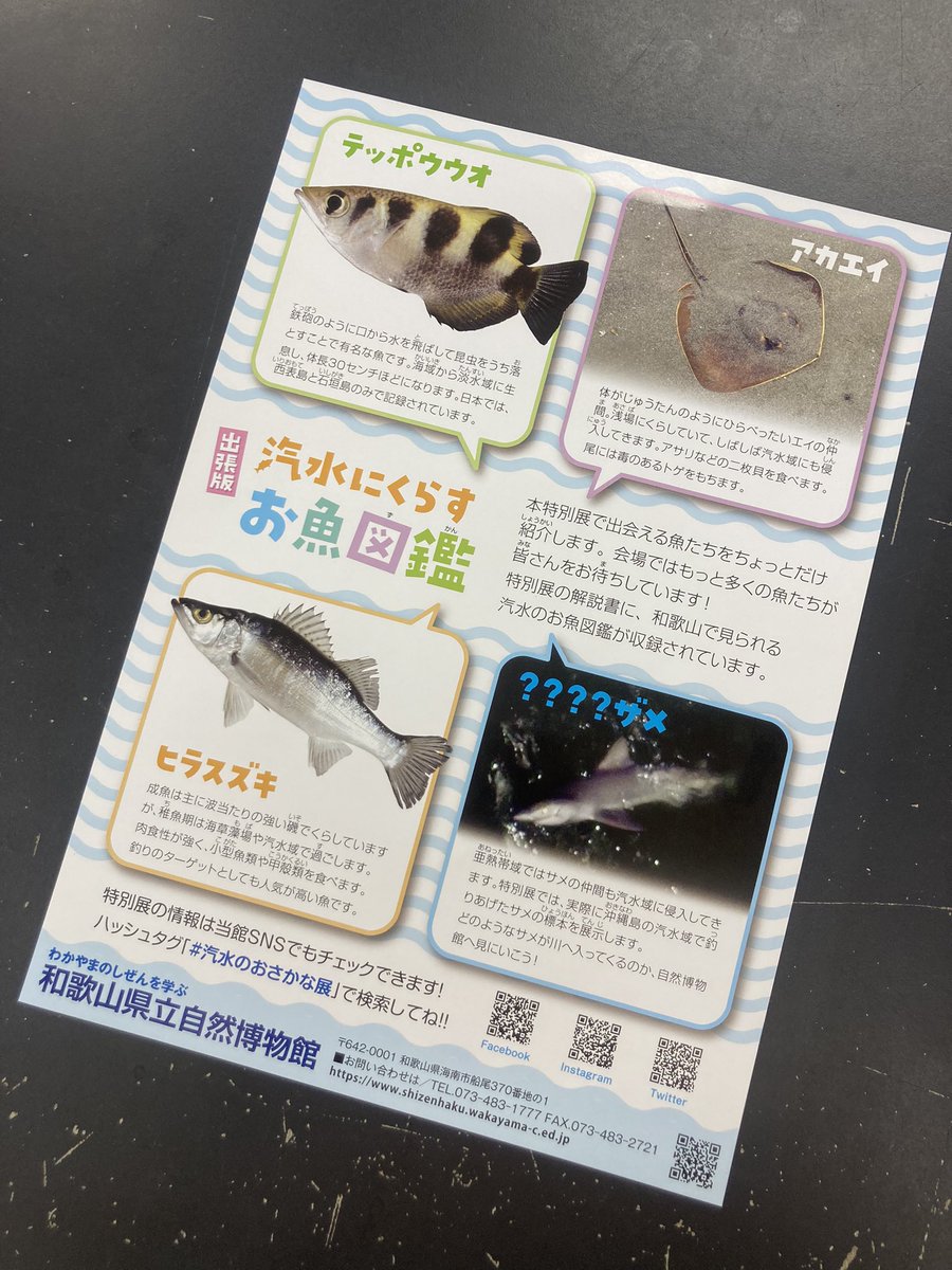 Tweets With Replies By 漫湖水鳥 湿地センター 公式 Mankomizudori Twitter