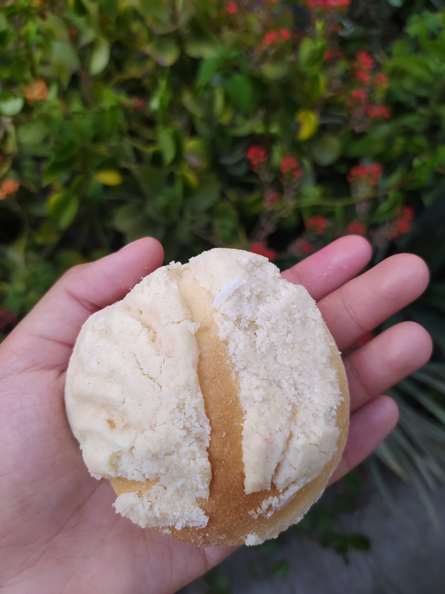 Wibidiviliver's tweet photo. Otro día pensando en cuando Morat va a sacar "Si la ves". Adjunto fotito de un mini pan dulce. https://t.co/zYlbN3Jhli