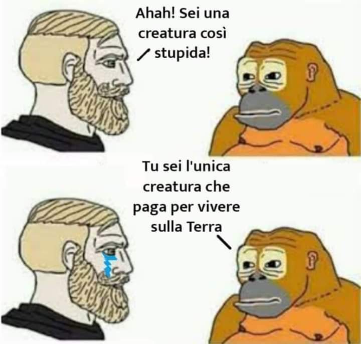 Mary17314915's tweet photo. @23Contras @ilvaccinogrigio Provate invece a pensare di non possedere beni materiali, dove lo stato vi potrebbe obbligare a pagare tasse?( inutili)? Se non avete nulla da pignorare? Dove prelevano i loro super stipendi i politici?
#creazionedivalore
#notasse
Rizzuto https://t.co/kKiRITBnvt