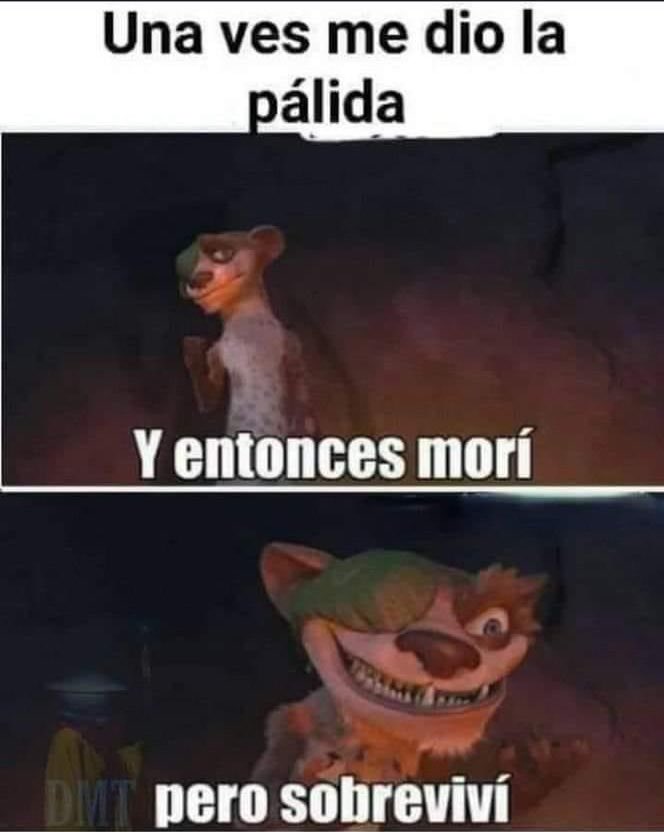 Así fue 😂🤣