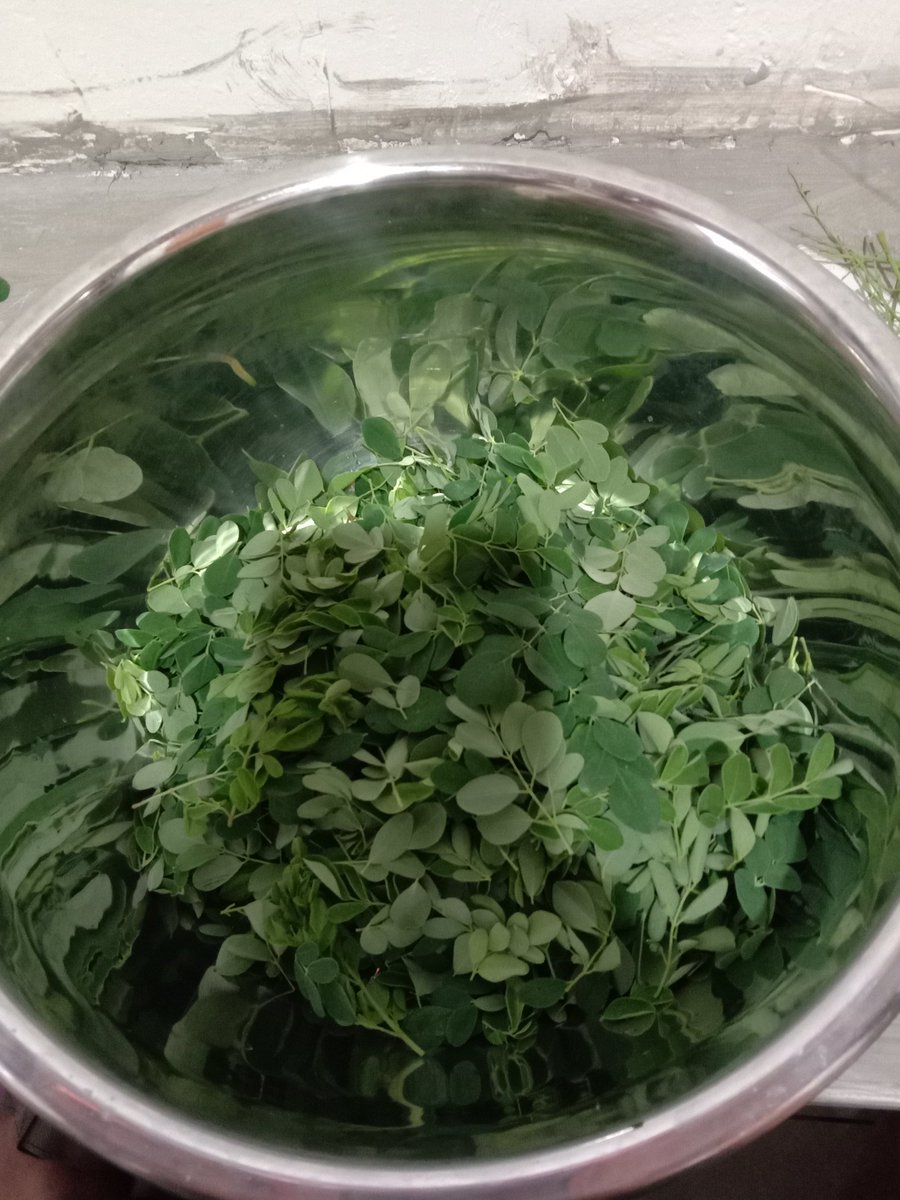 iamjoannieves's tweet photo. Kumain Ng gulay para sa healthy na relasyon

https://t.co/EnkpfMICMi https://t.co/CbaZms5UHo
