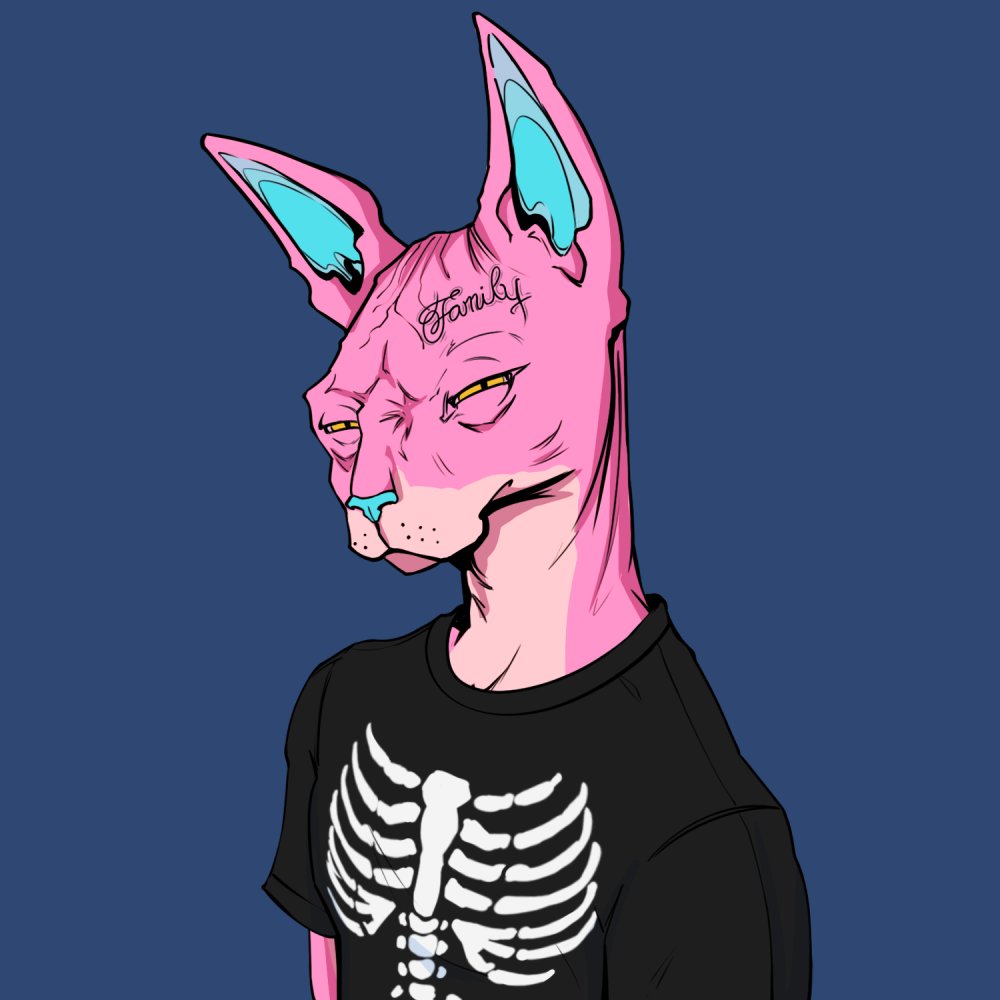 Makas_AMQ's tweet photo. @zherboNFT @TheSphynxUS Yes bro, it's time! #NYAWISH @TheSphynxUS https://t.co/rE8WdlEd9b