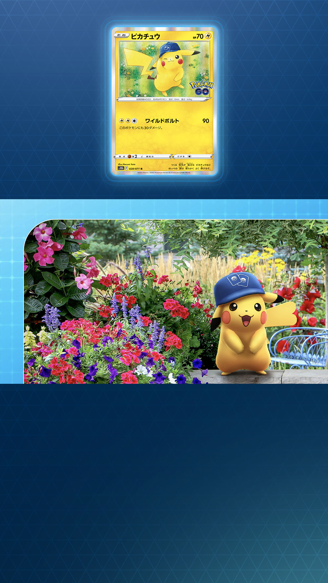 Pokemon Go Japan No Twitter ポケモンカードコラボイベント 期間中 ポケカキャップピカチュウ が野生で出現します ぜひつかまえましょう ポケモンカードゲーム の強化拡張パック Pokemon Go にもご注目ください 詳細はこちら T Co