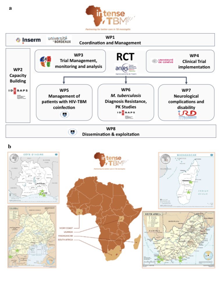Really happy and proud to share the first paper of the <a href="/IntenseTBM/">INTENSE-TBM</a> project where we describe the Capacity Building activities in Sub-Saharan Africa during the pandemics.

Tackling TB meningitis morbidity and mortality in people with and without HIV.

link.springer.com/article/10.100…