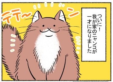 pixivFANBOXで【とりあえず】No20「ニャンコ1周年」を公開しました! https://t.co/UdMbtCWrqi 
