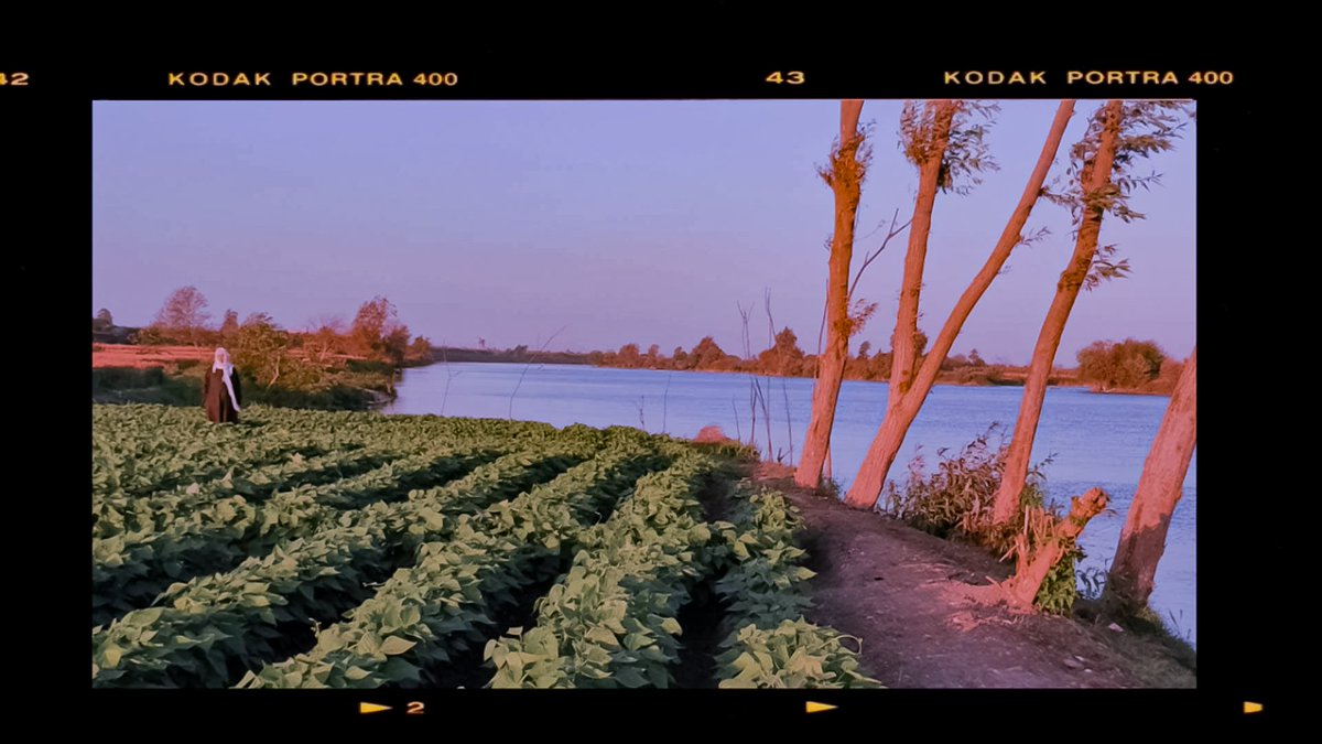 abdullah_sabry1's tweet photo. Some cinematic shot 🎥♥️
#photooftheday #photo #photography #realme #realme3pro #Countryside #filmphotography #Filmmaking #filmmakers #nature #NaturePhotography
#NatureBeauty
#color_grading
#direction https://t.co/IhnET3eunu