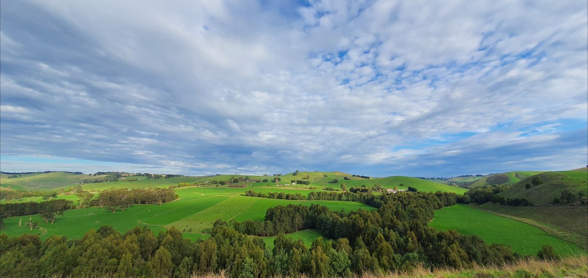 Brian Corr tweet media