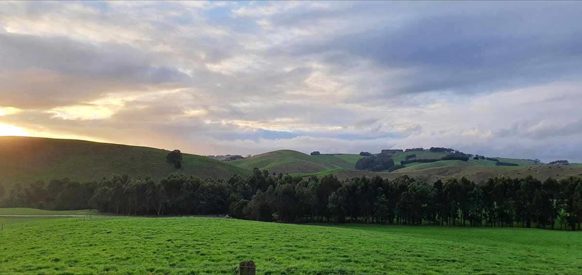 Brian Corr tweet media