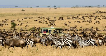 A very good morning from Serengeti National Park. #Tanzania #VisitSerengeti #VisitTanzania #MamaYukoKazini #AdventureTime #Travel