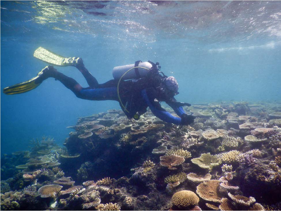 Juliano Morais (@julianobi0) on Twitter photo In Lizard Island for the first #fieldtrip of the 2022 Lizard Island Doctoral Fellowship I was awarded to investigate the coral recovery dynamics on post-bleach coral reefs. Very excited to see this project happening.
<a href="/lirrf/">LIRRF</a>
<a href="/ReefFunctionHub/">Reef Function Hub</a>
@CoralCoE
<a href="/jcu/">James Cook Uni</a> In Lizard Island for the first #fieldtrip of the 2022 Lizard Island Doctoral Fellowship I was awarded to investigate the coral recovery dynamics on post-bleach coral reefs. Very excited to see this project happening.
<a href="/lirrf/">LIRRF</a>
<a href="/ReefFunctionHub/">Reef Function Hub</a>
@CoralCoE
<a href="/jcu/">James Cook Uni</a>
