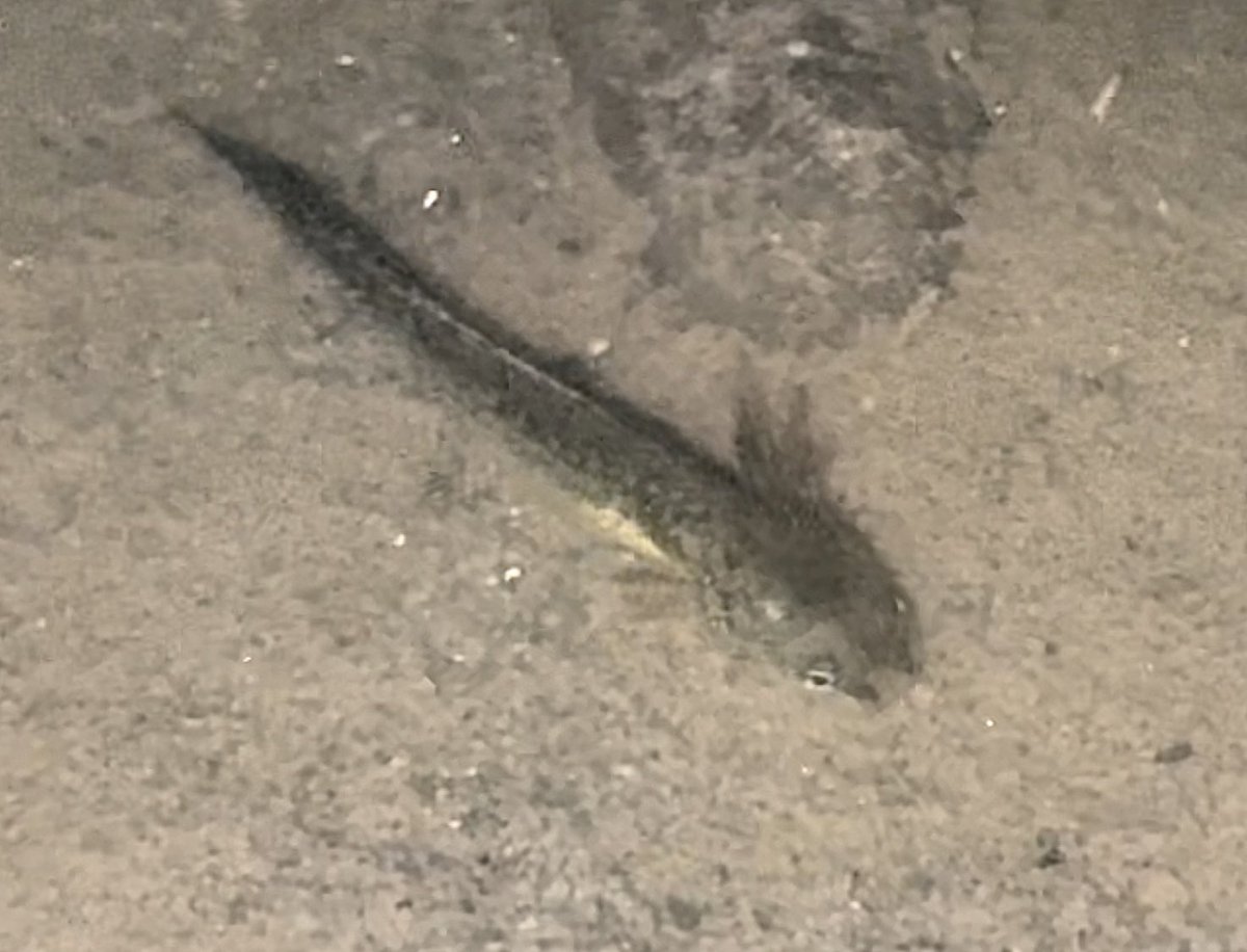 Emma Scott tweet media