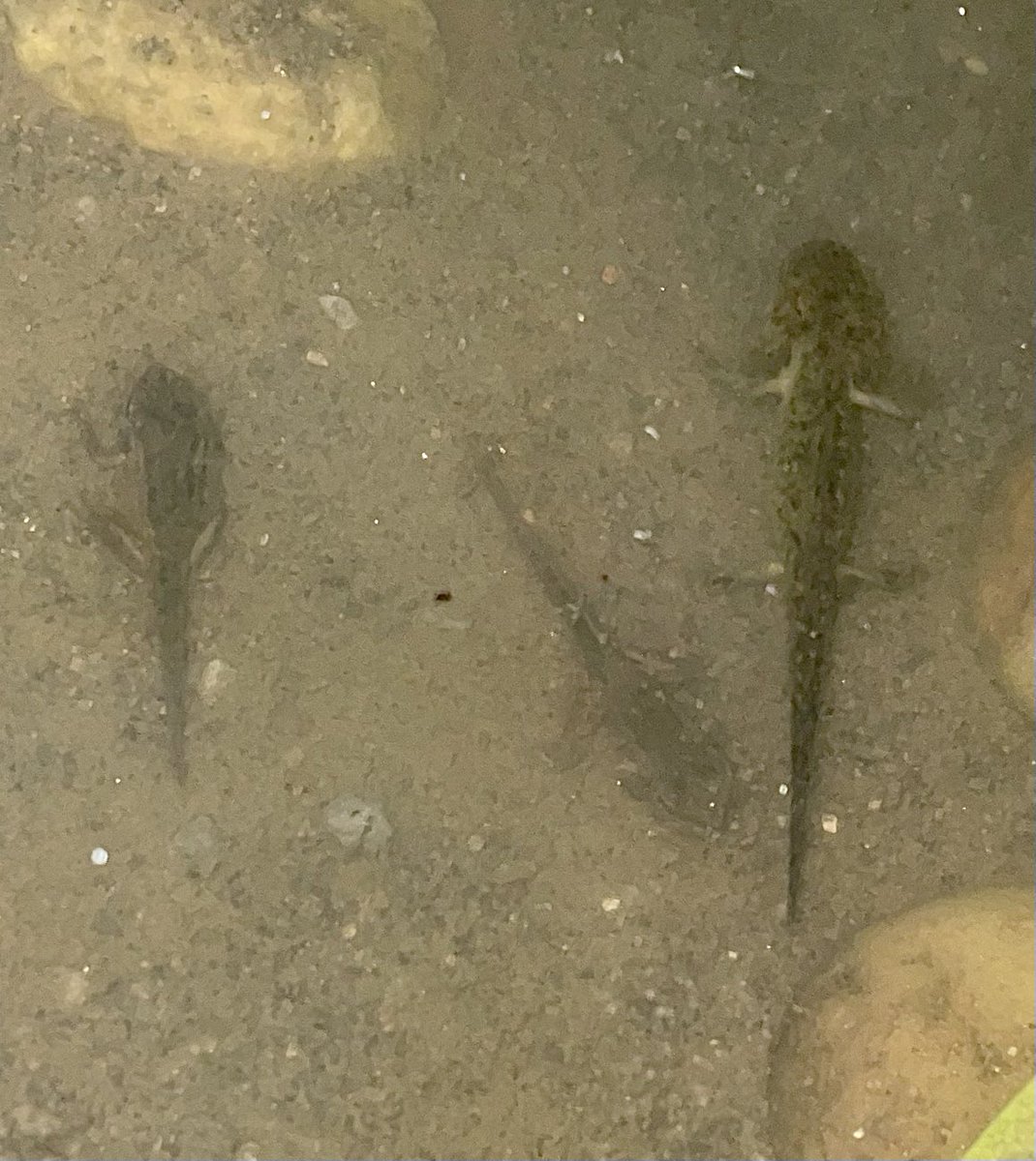 Emma Scott tweet media