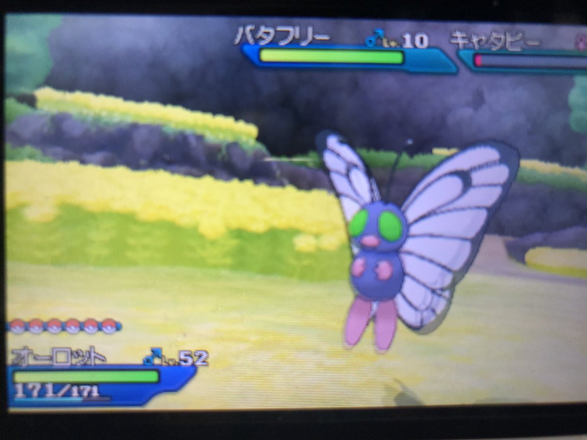 ポケモンgo バタフリーの色違い 入手方法と実装状況 攻略大百科