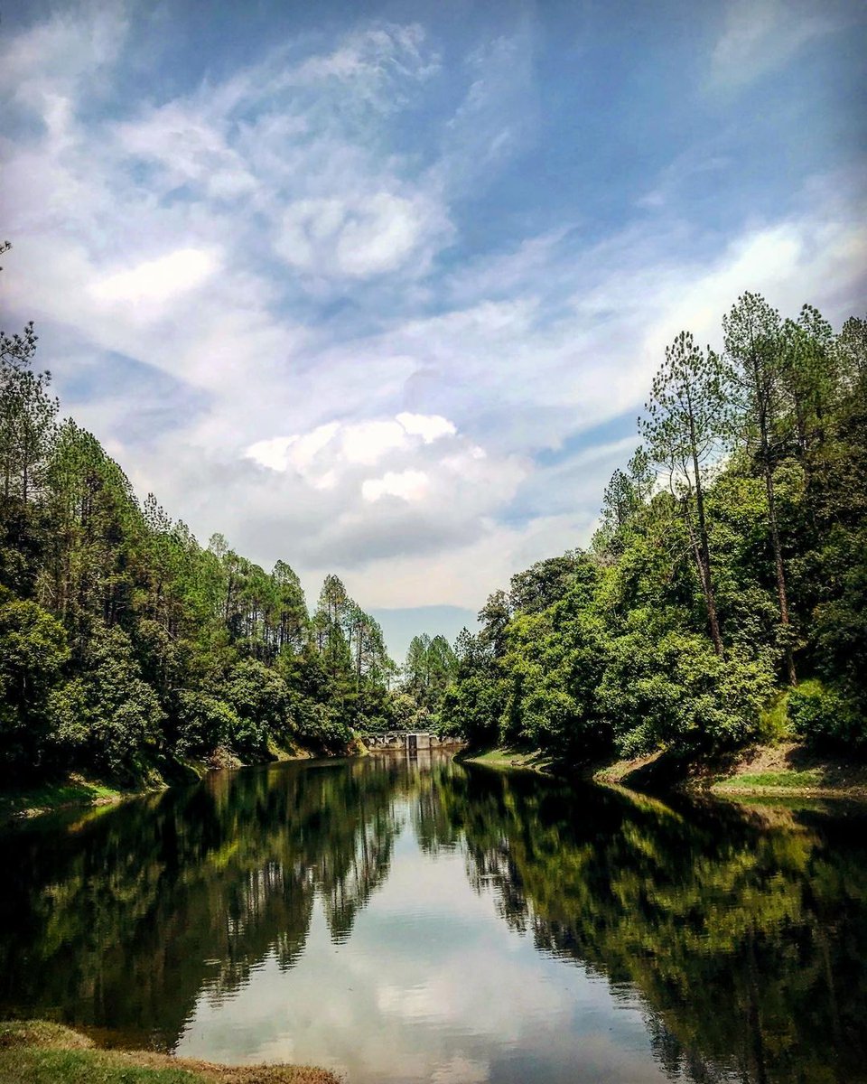 thehosteller's tweet image. Reasons to add #Kasardevi to your bucket list now!

Reason #1-#BinsarWildlifeSanctuary is a lush green paradise perfect for birdwatching! 🌲

Reason #2-Witness the universe at its best when you reach #ZeroPoint.🏔️

Reason #3-Indulge in fun activities like boating at #BhaluDam. 🚣