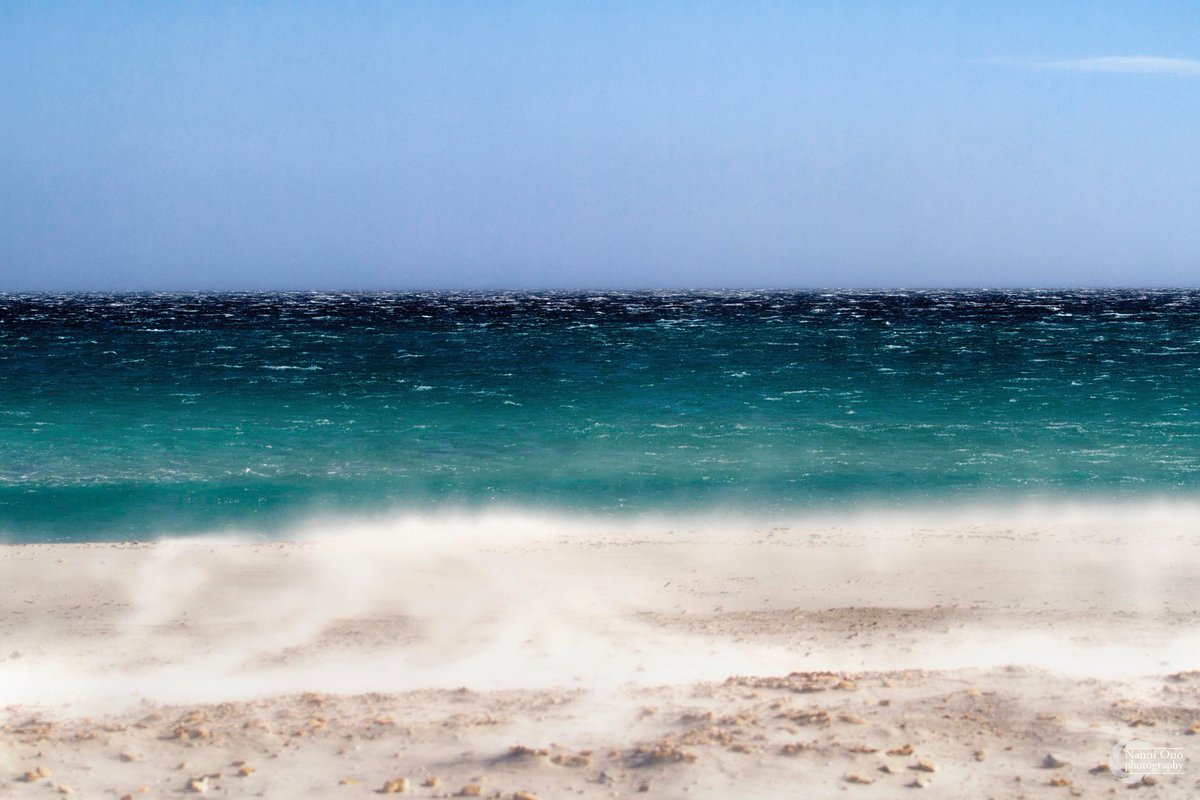 OnoNanni's tweet photo. Così, come polvere nel vento. #sardinia #italy #santeodoro #photography #lacinta #photographer #stormywind #beach #seascape #seashore #seaside #travel #sea #mare #estate #mediterraneo #sardegna https://t.co/ahLfzq2oh2