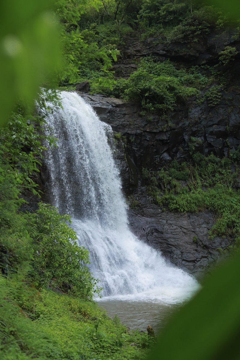 વલસાડના ધરમપુર તાલુકામાં આવેલા ગણેશ ધોધની મંત્રમુગ્ધ કરી દેતી કુદરતી સુંદરતા...

#Waterfall #Gujarat