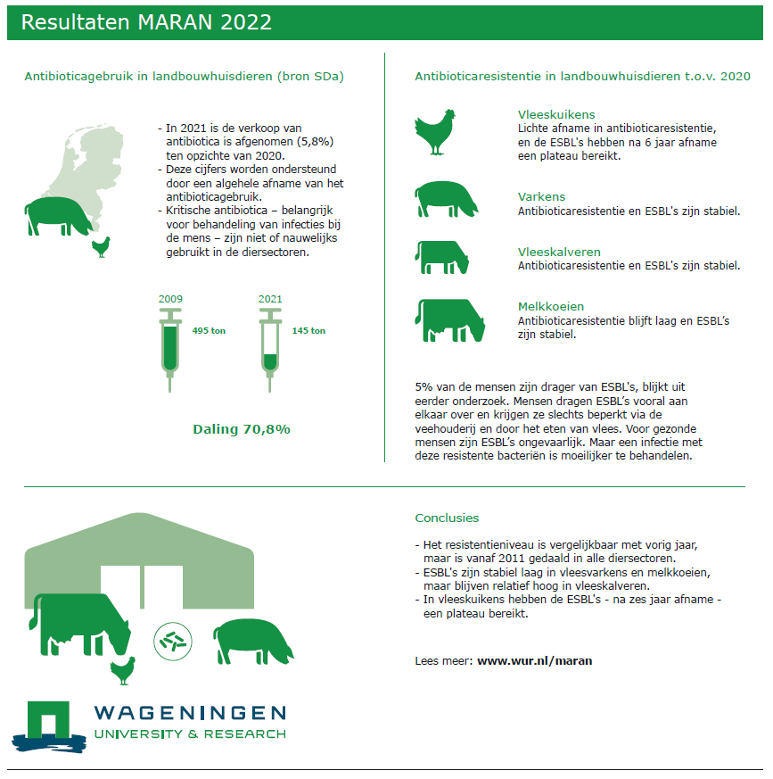 #AntibioticaResistentie 🦠️ | Darmbacteriën landbouwhuisdieren steeds minder resistent tegen antibiotica. 

Nieuws over het NethMap/MARAN-rapport: wur.nl/nl/Onderzoek-R…