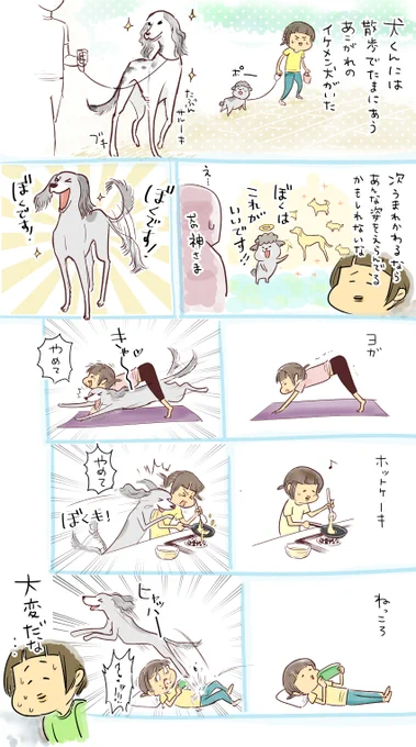 犬くんのゆめ… 