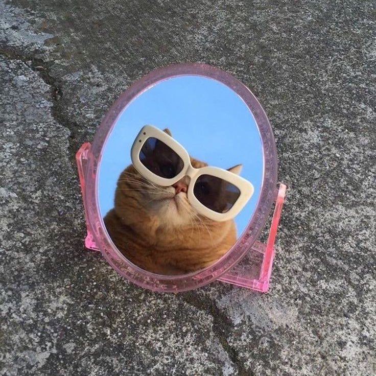 Jingle balls 🍒⚖️ tweet media