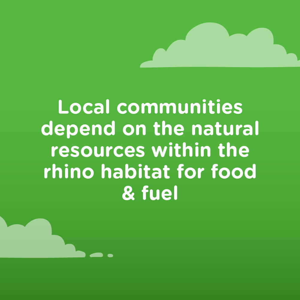 #local #nftcommunity #rhinohabitat 

futurerhinos.com 🦏❤️