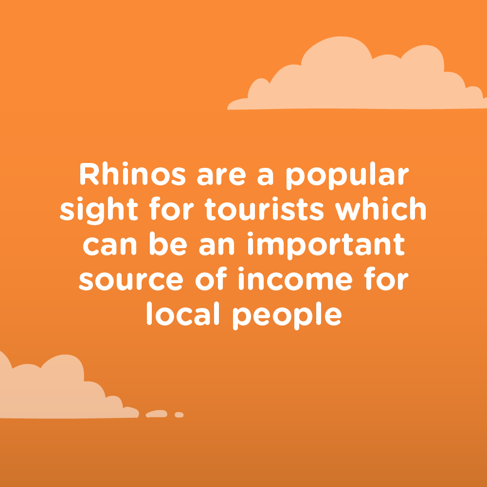 #rhinoconservation #conservation 

futurerhinos.com 🦏❤️