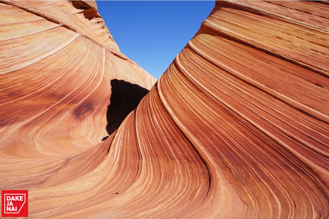 ザウェーブ Twitter Search Twitter