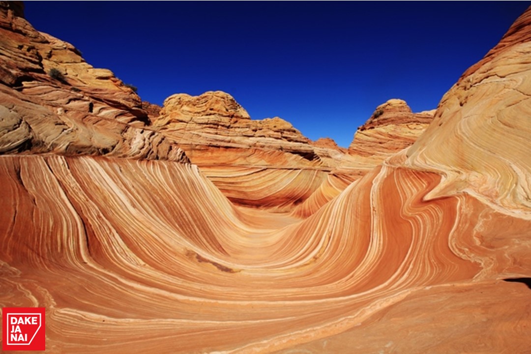 ザウェーブ Twitter Search Twitter