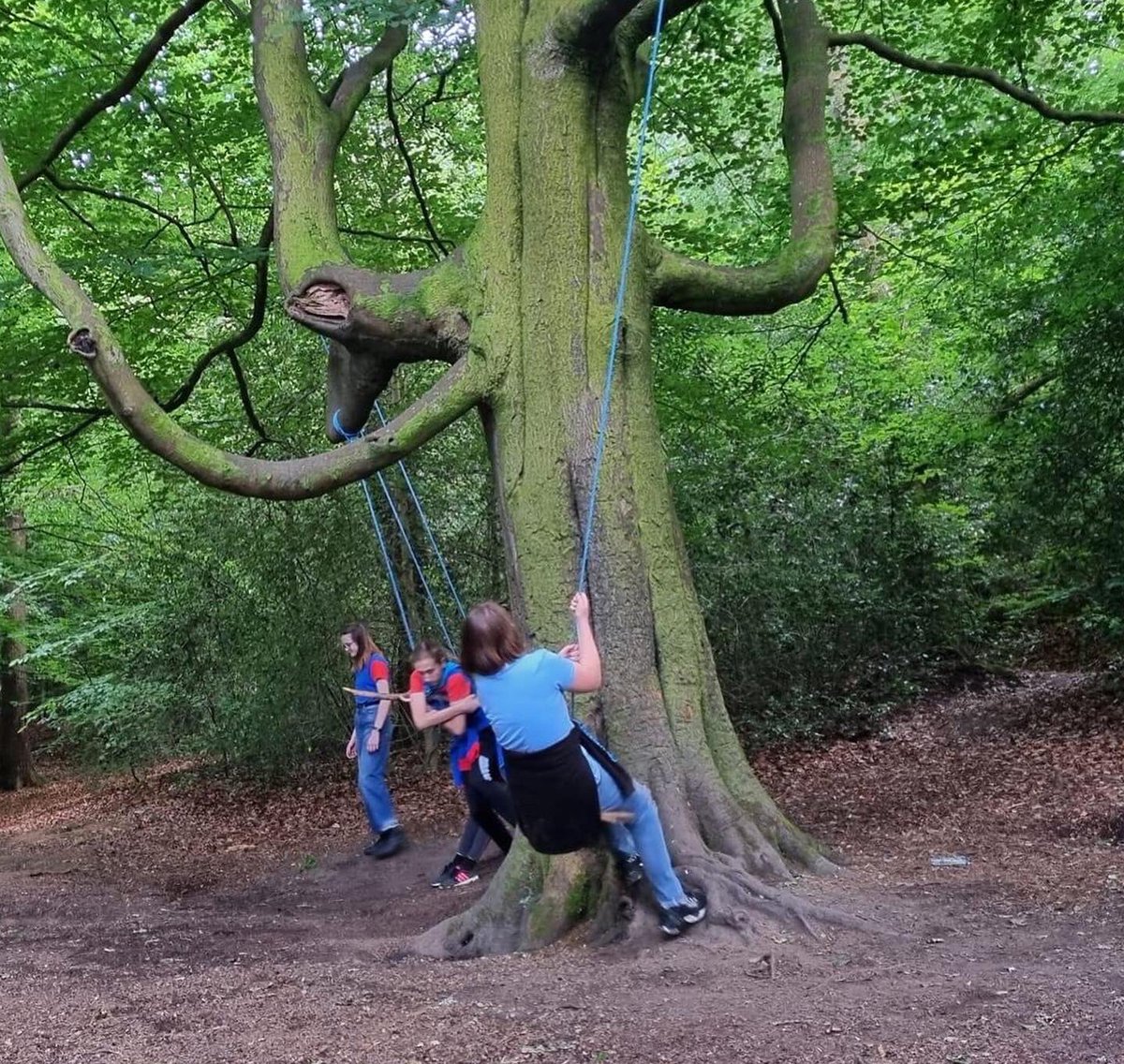 GGHambledon's tweet photo. 1st Witley Guides went tree spotting tonight. They are working on their ‘Go Explore’ badge.
They were very excited when they spotted some awesome rope swings in those trees!
#TreeIdentification #TreeSpotting #GoExplore #RopeSwings #girlguiding #Guides #Witley #WitleySurrey https://t.co/qyzZfmsHvN