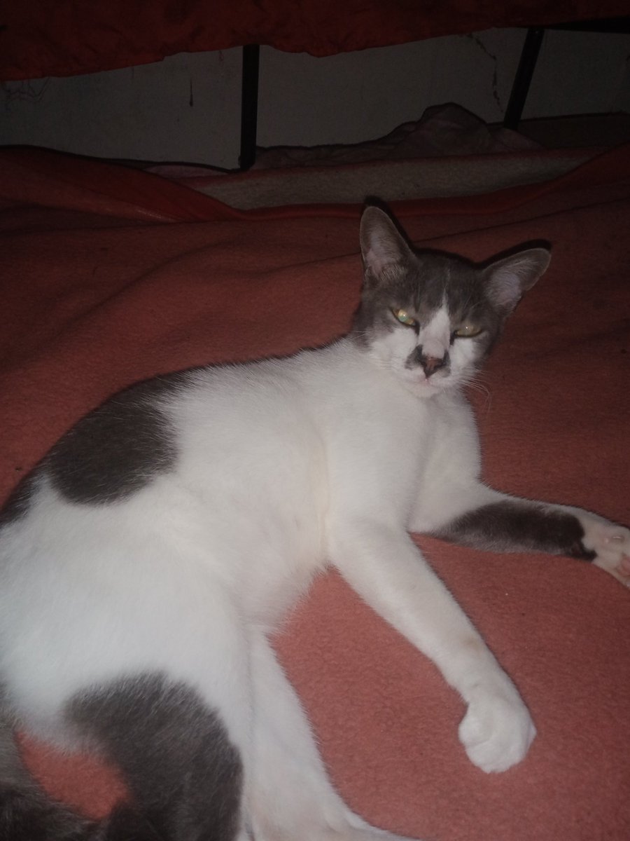 Azmankol Mankull (@azmankolm) on Twitter photo 