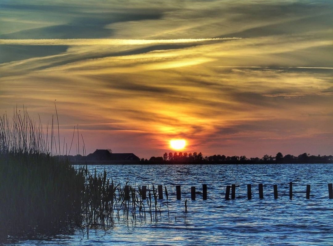 intheamomintsje tweet media