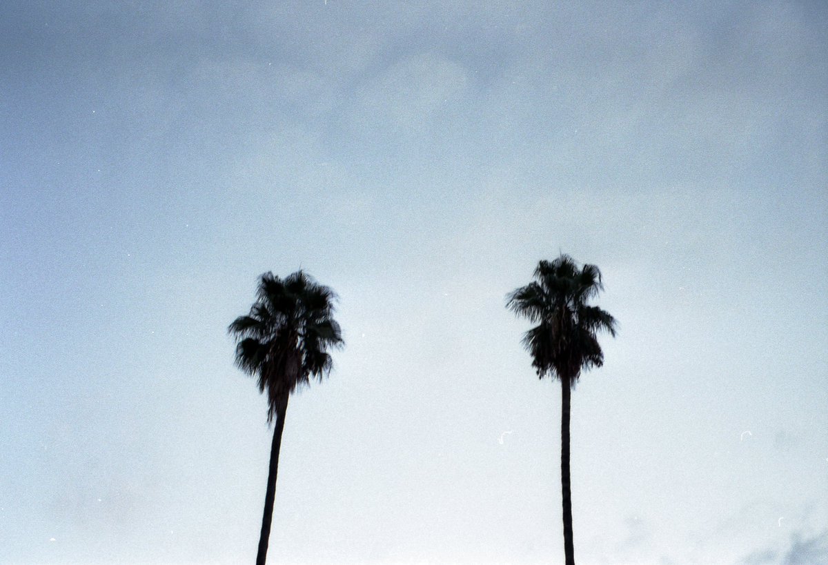 Runae___'s tweet image. Palermo on 35mm film #35mm