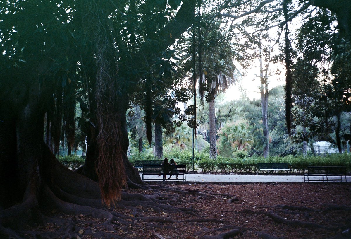 Runae___'s tweet image. Palermo on 35mm film #35mm
