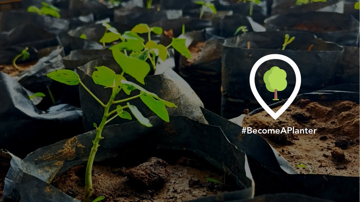 Our #environment is deteriorating at an unparalleled rate.

Is there any single activity that has a direct influence on all 17 #SDGs? Yes, is the answer.  Learn more at flocard.app/BecomePlanter 

#sustainability #SocialMediaDay2022 #climate #GlobalGoals #Carbon