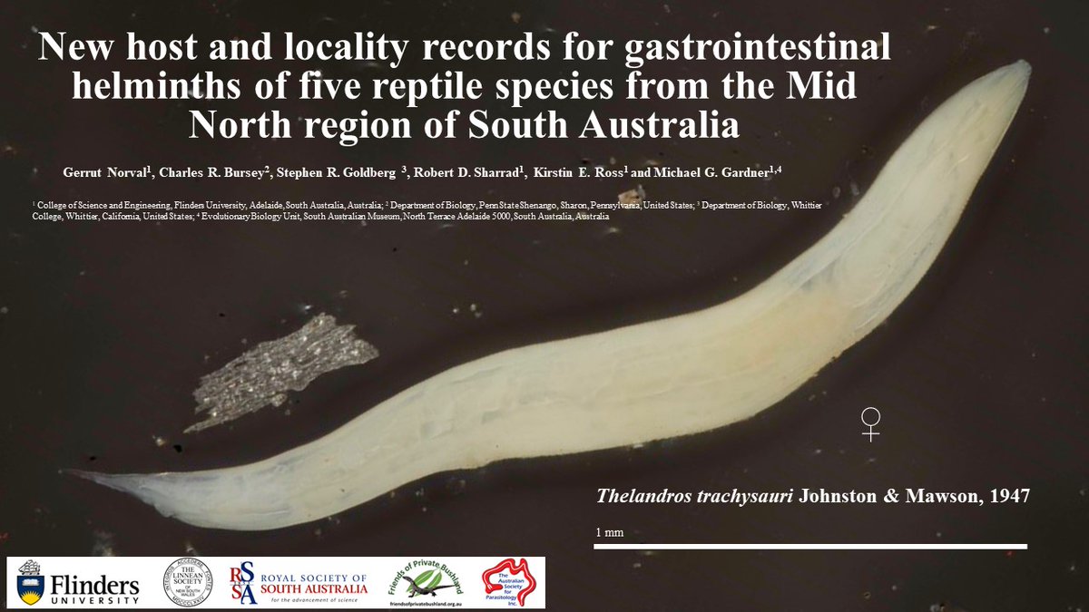 GerrutN's tweet image. My flights and accomodation are booked, now I just need to get my talk for the 2022 ASP Annual Conference (4-7 July) ready