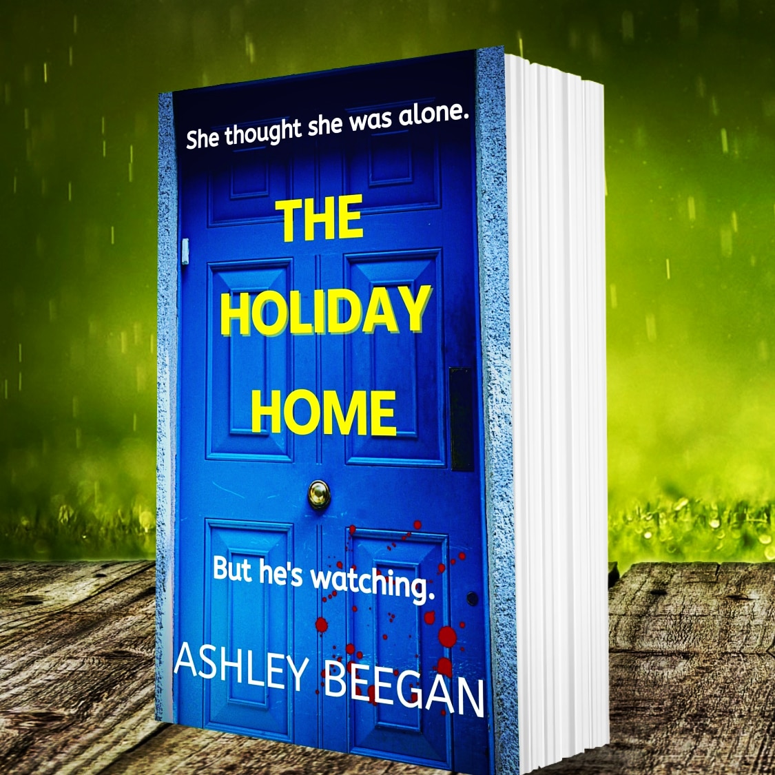AshleyBeegan's tweet photo. It's release day!!! The Holiday Home is out now 😁 👀 

https://t.co/pM3OZUD92w https://t.co/SseJGIYCZn