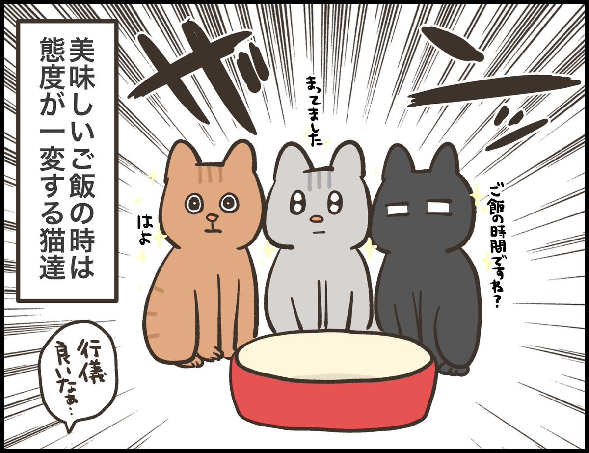 猫漫画
fashion trend news様再掲 