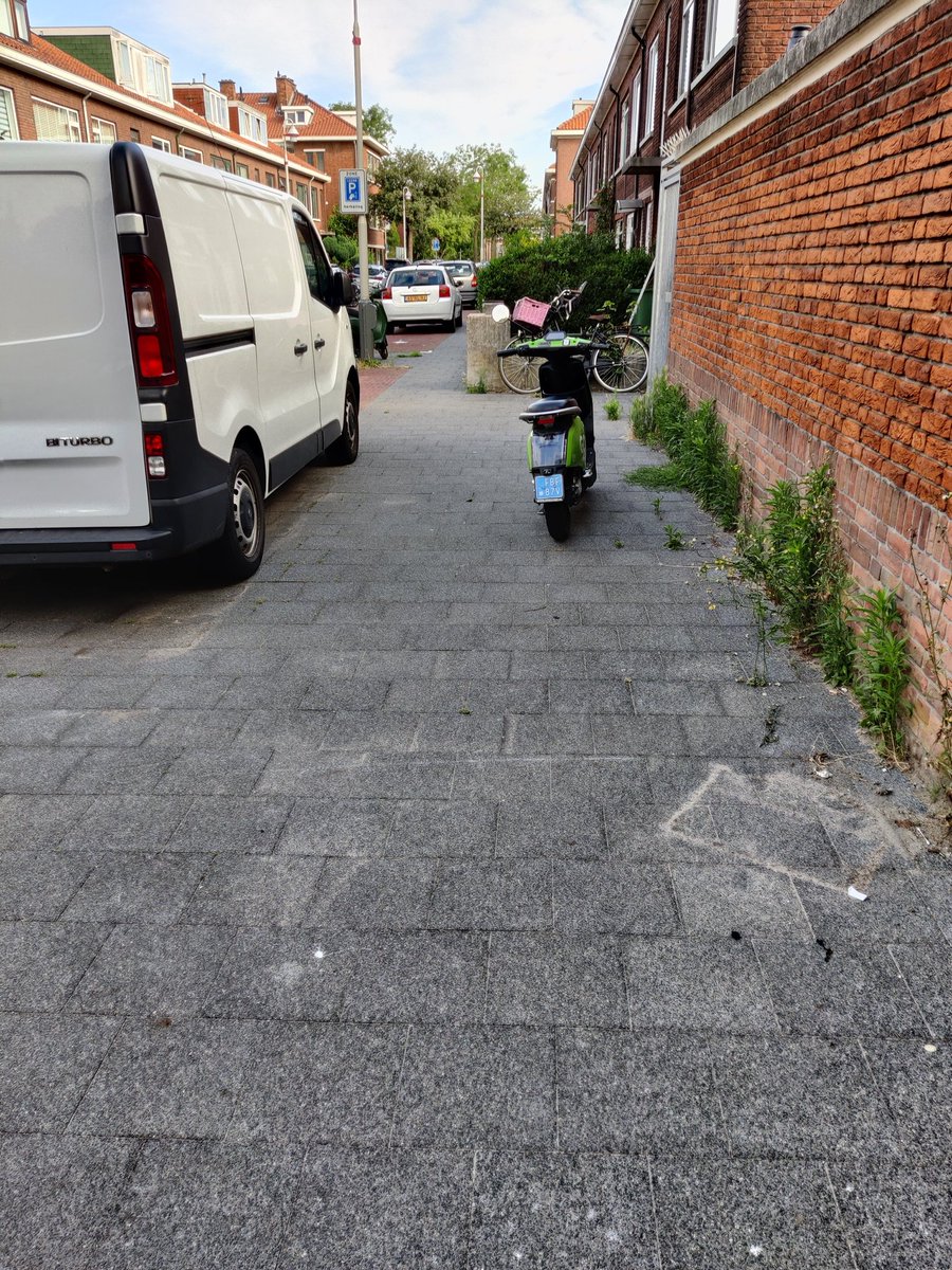 Mannatje's tweet photo. En weer eentje erbij. @GemeenteDenHaag  @RvanAsten  gaat u nu ingrijpen en dit uit het Servicegebied laten halen in @radilaak 
Jan van Beersstraat Genestetlaan 
@gosharingoff  haal dit uit jullie service gebied!! 
Hoekje om Bragastraat ook! 
#straatvervuiling #ongehoordlaak https://t.co/Qfot1R2NzP