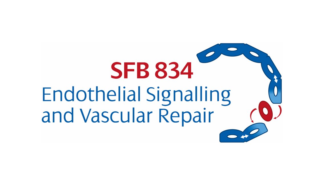 An era has come to an end: After 12.5 years of fantastic research and collaborations SFB 834 says goodbye today! 👋 We thank everyone who was part of it and look forward to <a href="/SFB1531/">SFB 1531</a>, which starts tomorrow and brings together some old and new faces! 🥳 <a href="/dfg_public/">DFG public | @dfg_public@wisskomm.social</a> <a href="/goetheuni/">Goethe-Universität</a>