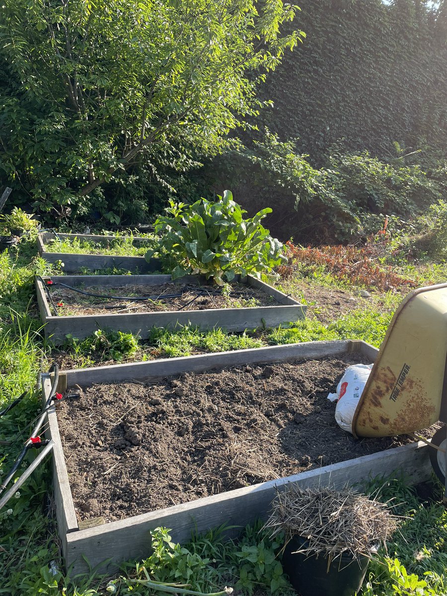 This what I’m tackling this morning!