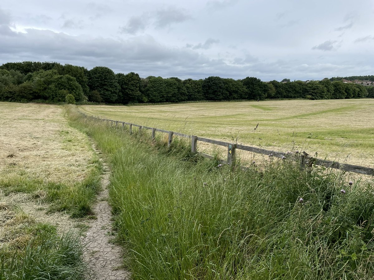 Help Save Haigh Woods 🍃💚🍃 tweet media