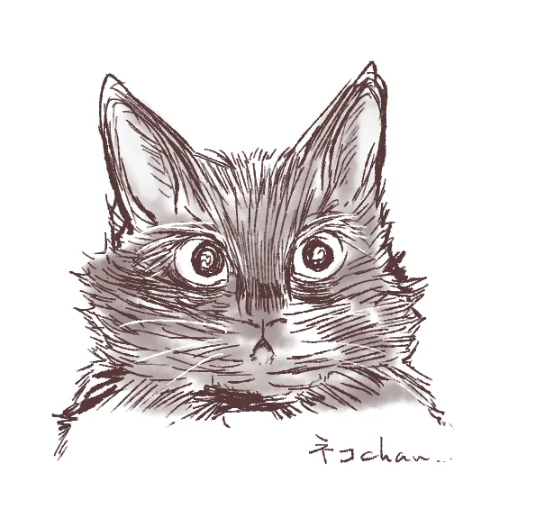 猫さんお気に入り
選挙(??)ネタはまたいずれ
#今月描いた絵を晒そう 