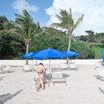 ツイートに含まれる画像