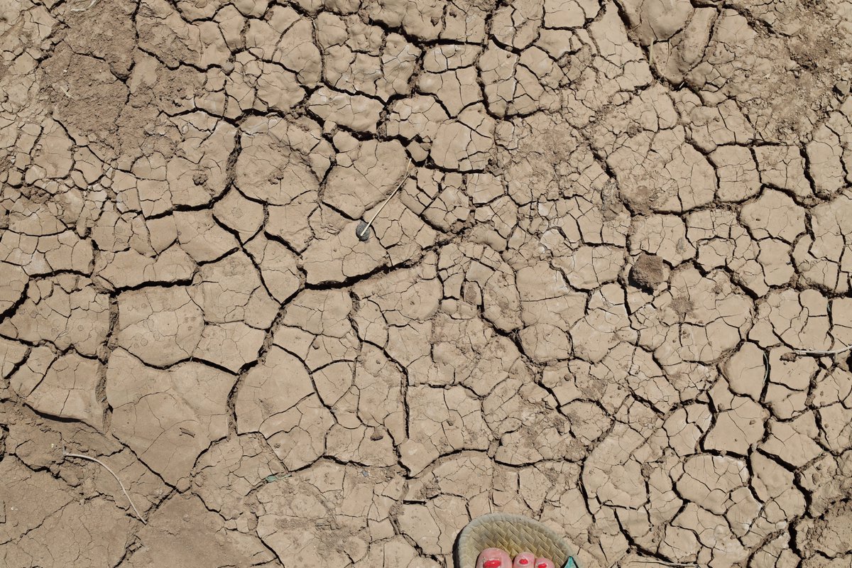 alannah travers tweet media