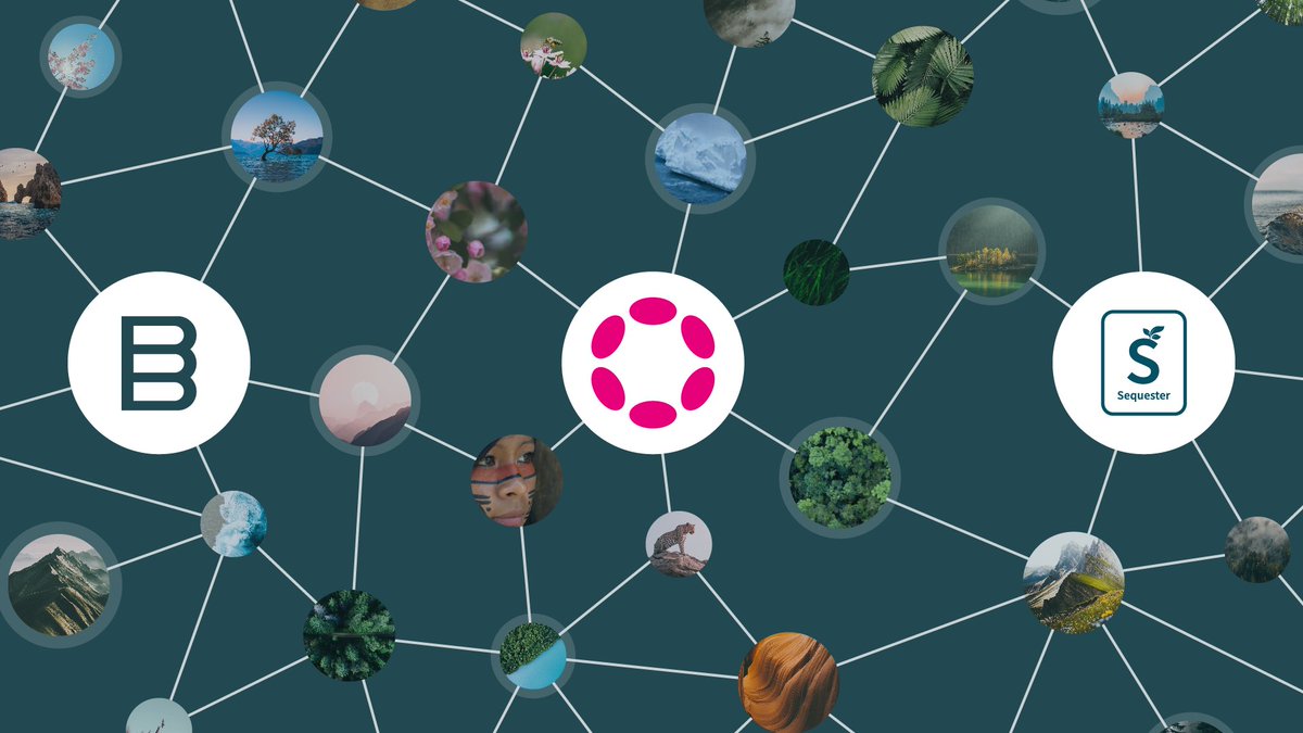 We're delighted to announce our partnership with <a href="/SequesterChain/">Sequester Chain</a> to pioneer climate-positive action for the <a href="/Polkadot/">Polkadot</a> &amp; <a href="/kusamanetwork/">kusama</a> ecosystems.

TL;DR: we're enabling parachains to easily swap transaction fees for carbon credits 🪙➡️🌳

Learn more here: bitgreen.org/blog/polkadot-…